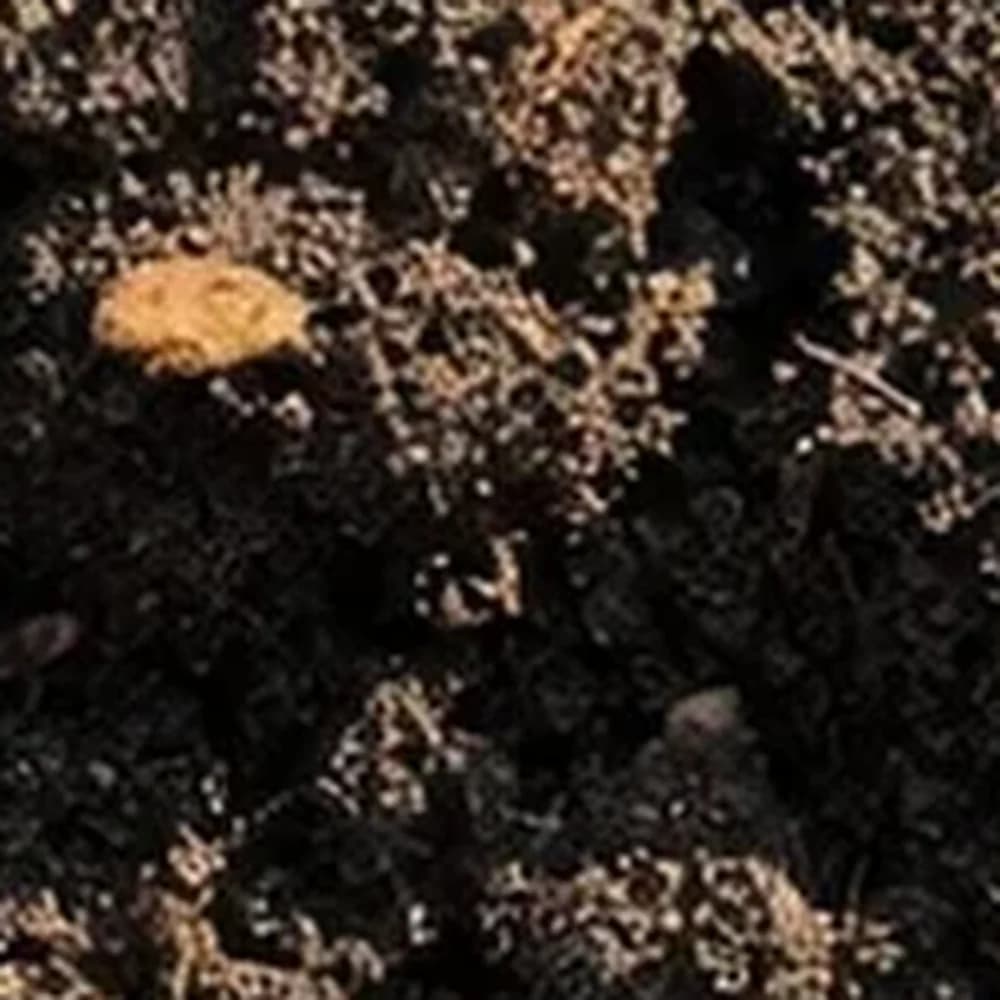 Garden Soil